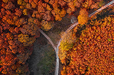 autumn road image