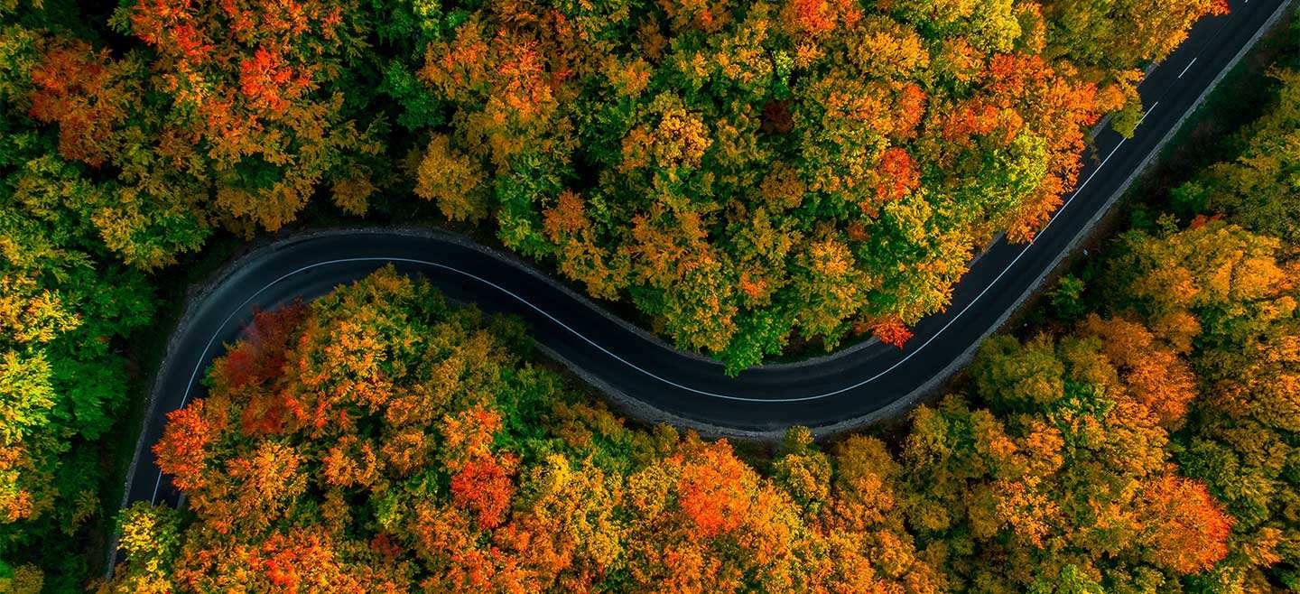 Autumn road image