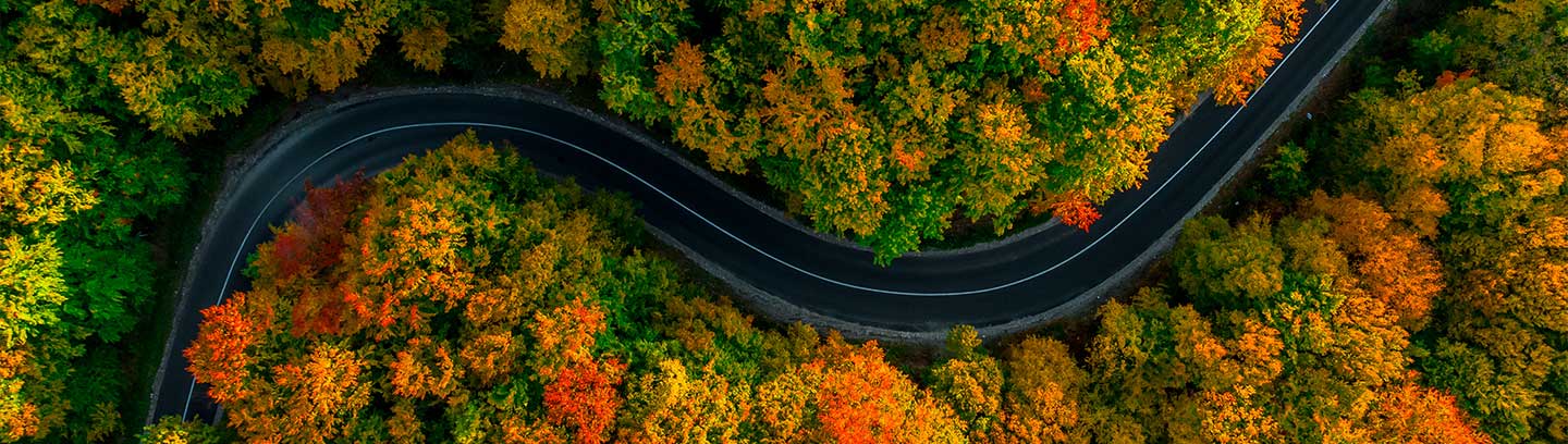 Autumn road image