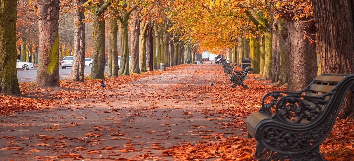 insight featured image