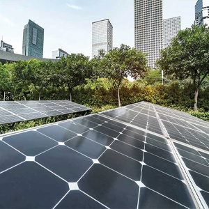 Environmental, social and governance (ESG)